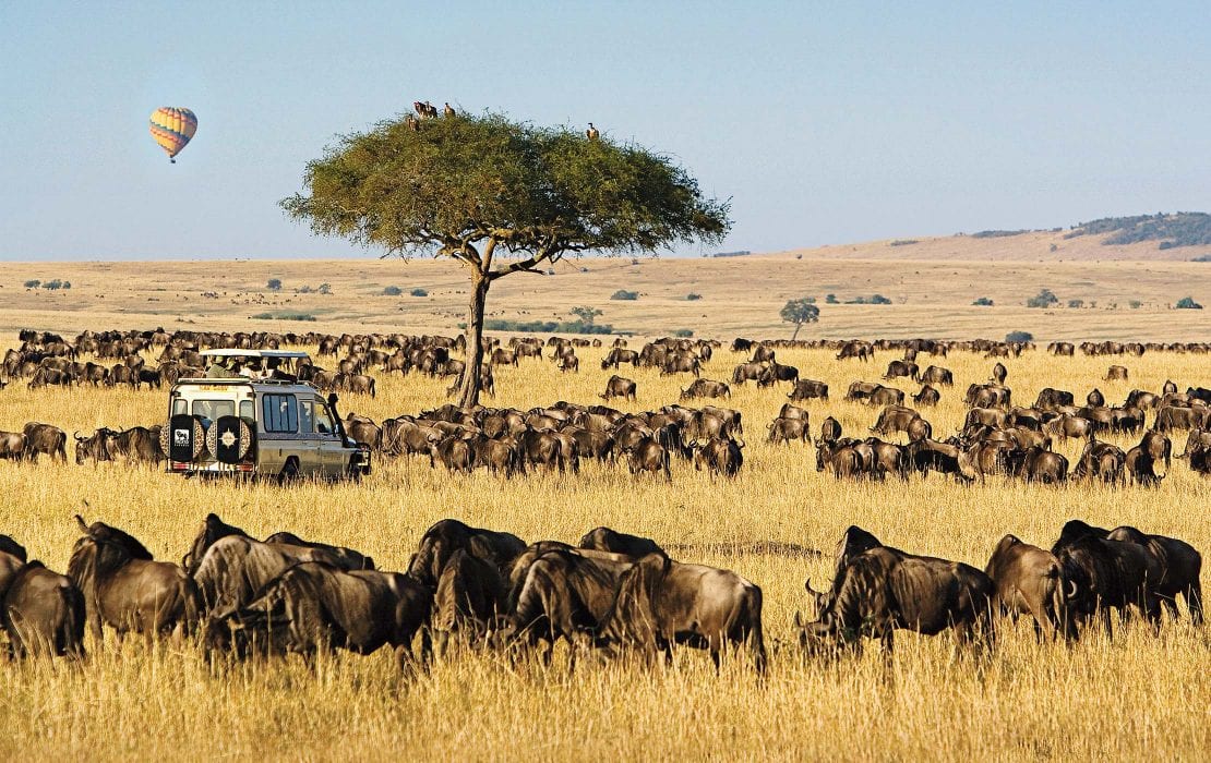 Masai Mara Safari Kenya